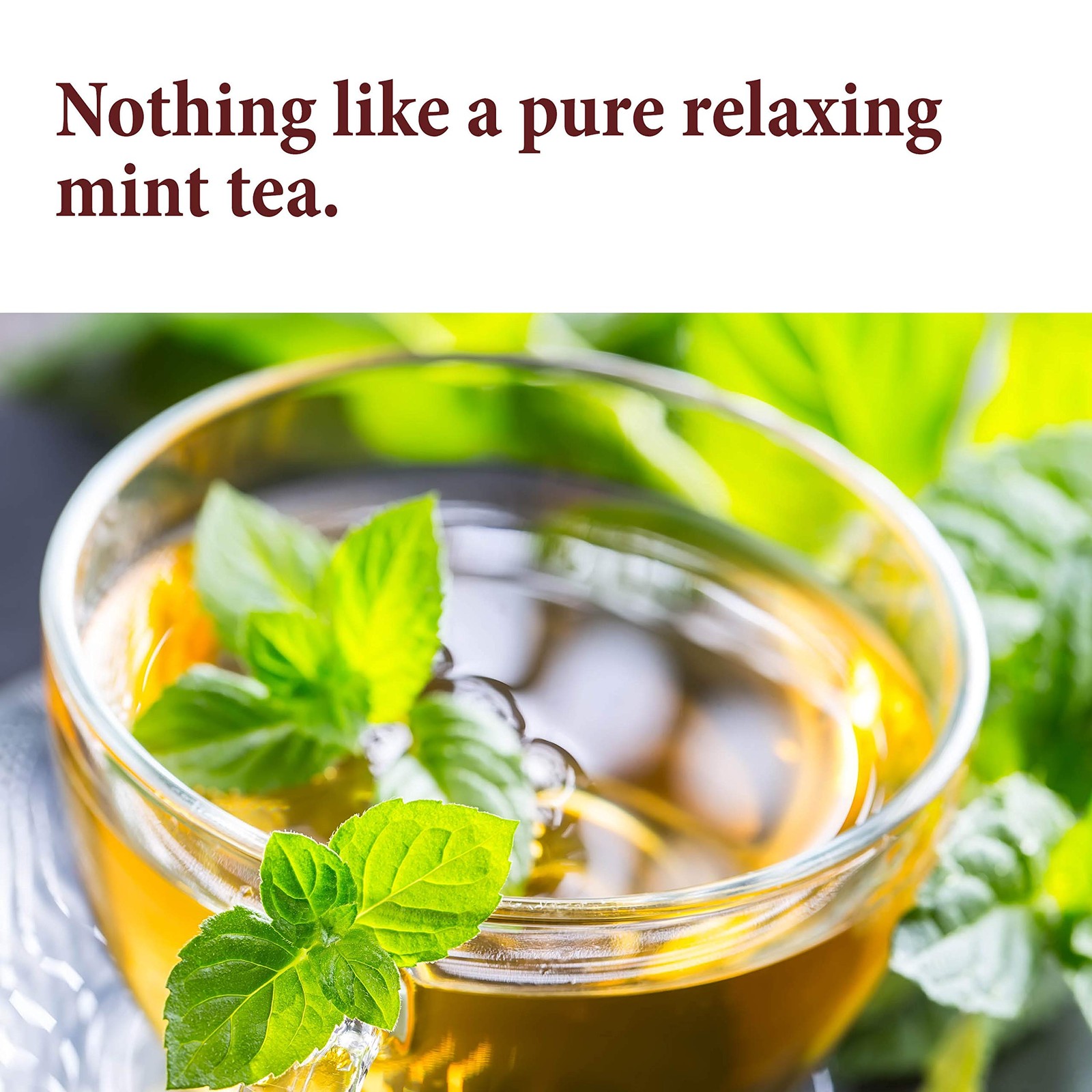 The Spice Way Mint Leaves – (2 oz) dried loose mint leaf