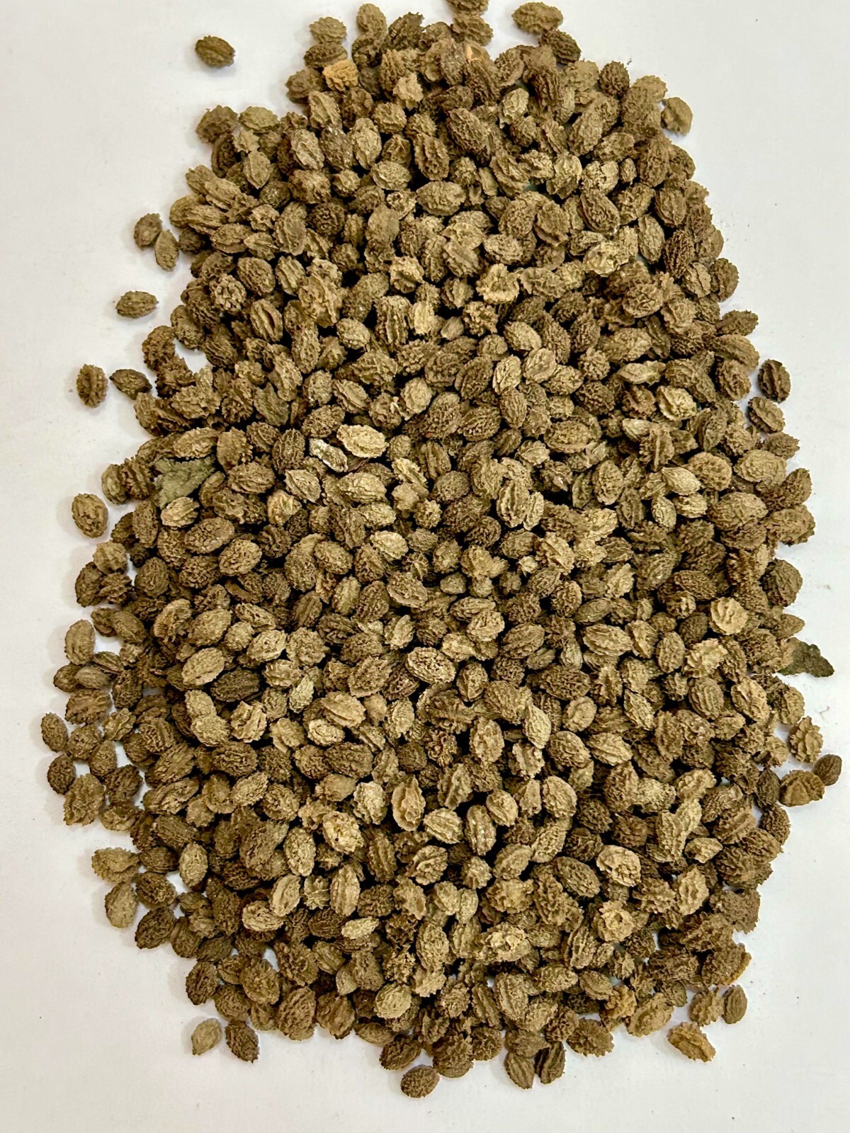 Natural Papaya Seeds,Dried Papaya Seeds, Organic Papaya Seeds,Jadi Buti Papaya
