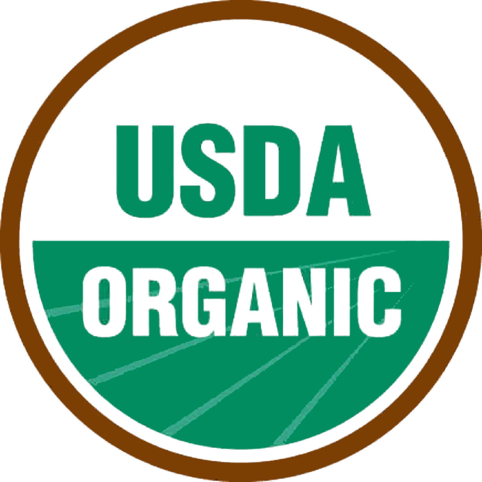 Organic Fennel Seeds Foeniculum vulgare QAI Certified, KCS Kosher 3 Sizes Egypt