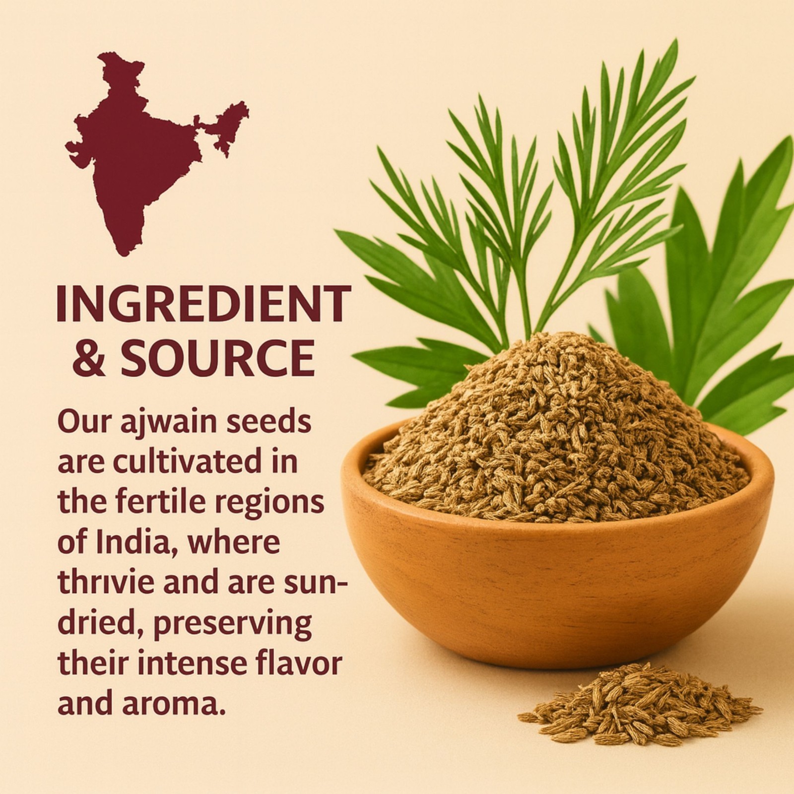 Ajwain Seeds (Carom Seeds) 12 oz – Aromatic Spice for Cooking & Health Benefits