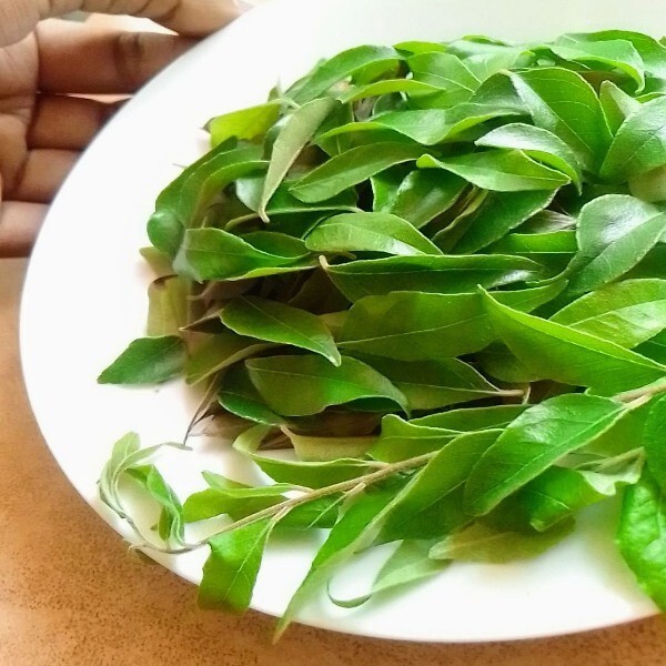 Oraganic Dried Curry Leaves/leaf Fresh & Premium*Grade A* Natural Kaadi patta