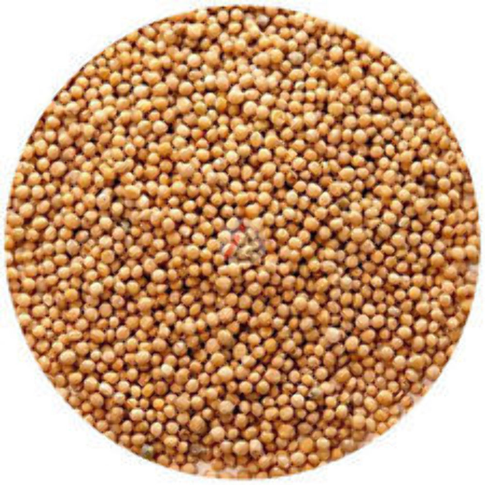 Yellow Mustard Seeds – 4.5 KG