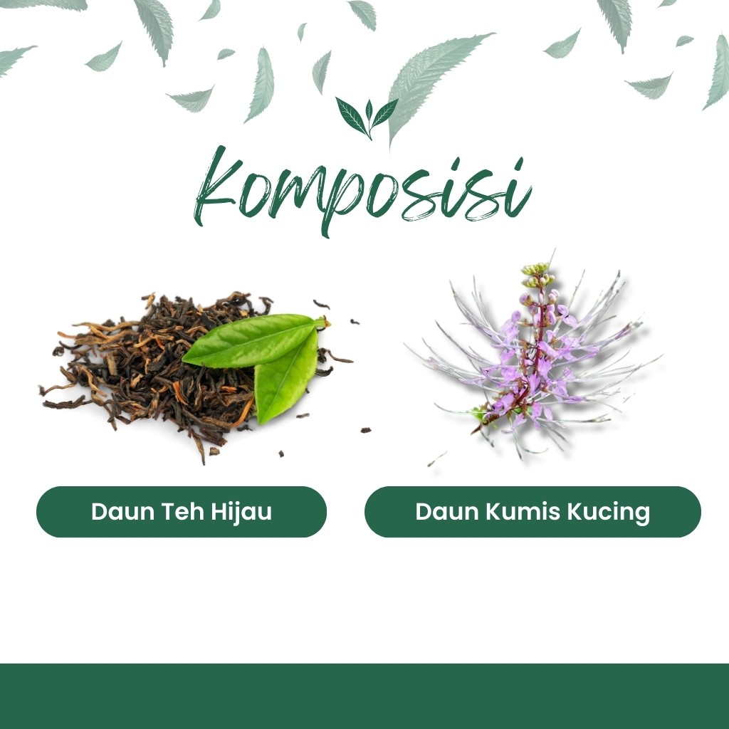 Kumis Kucing Leaf Herbal Infusion Blend 20 Tea Bags Botanical
