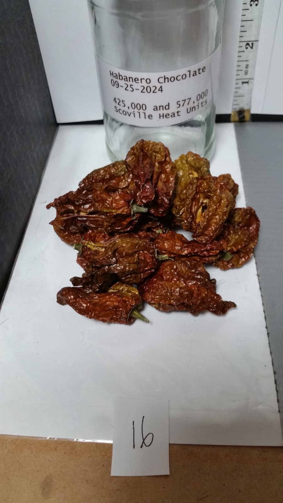 Super Hot Chili Pepper Pods ; Dried ; Organic ; Stored Cool and Dark, Sept. 2024