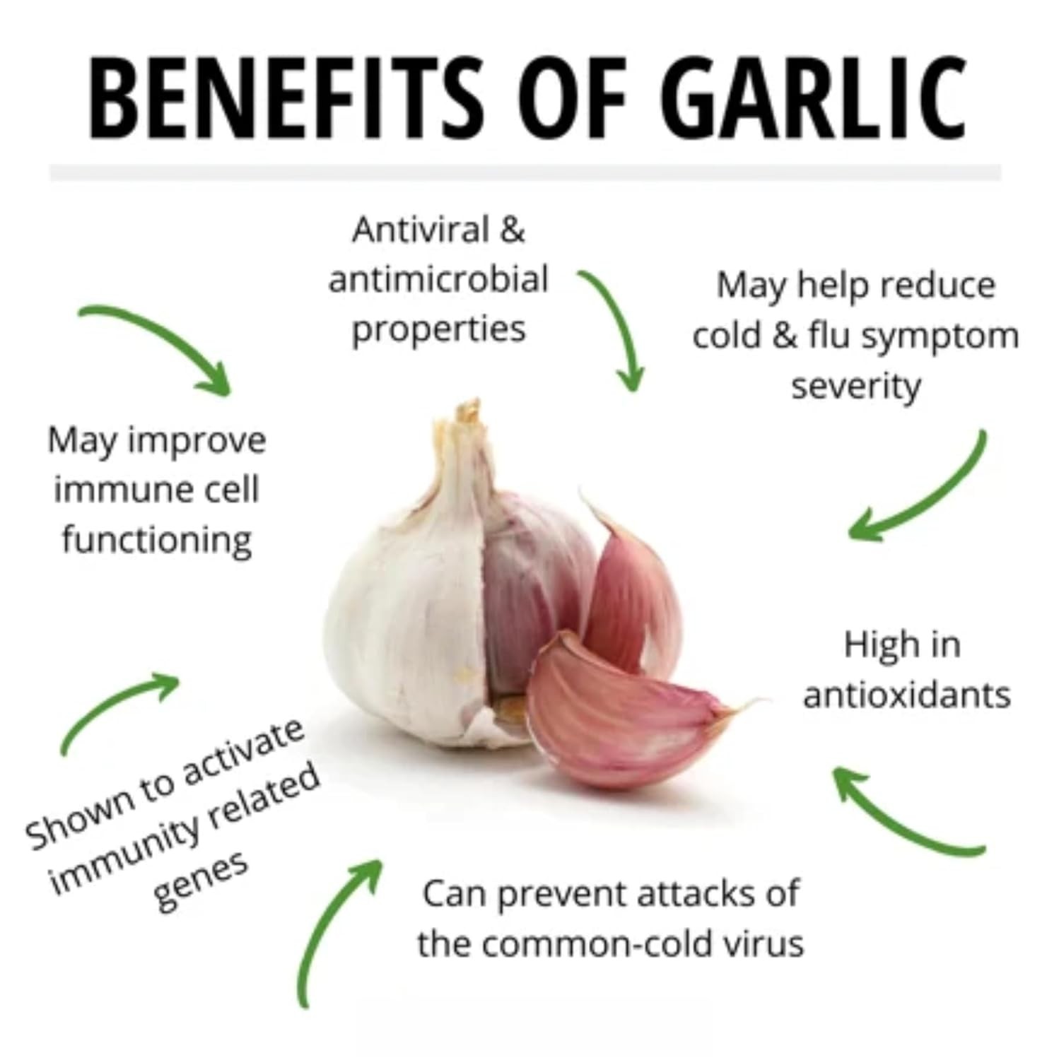Shine Organic Dehydrated Garlic Powder 55gm