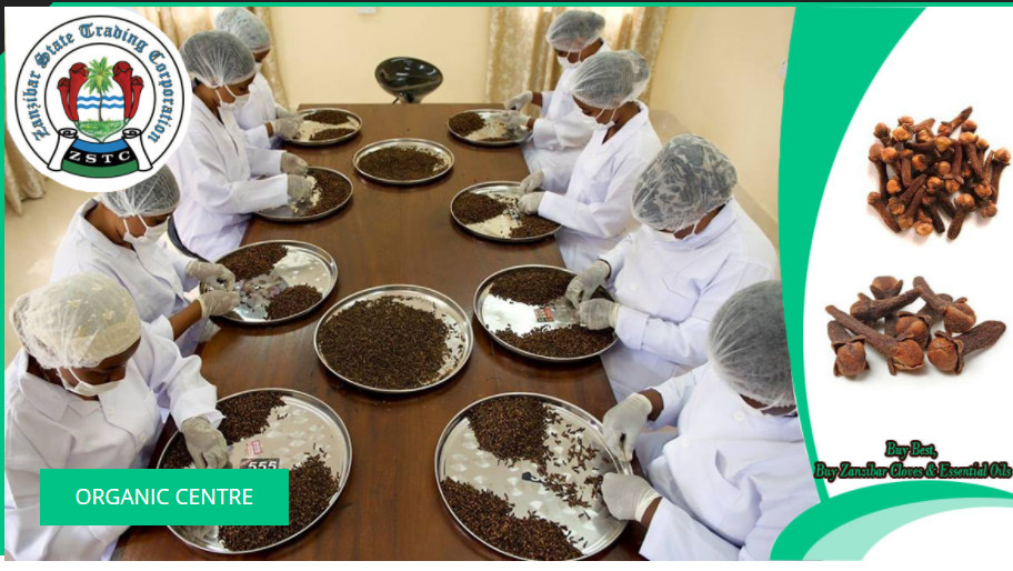 Organic Cloves from Zanzibar 2024 Season