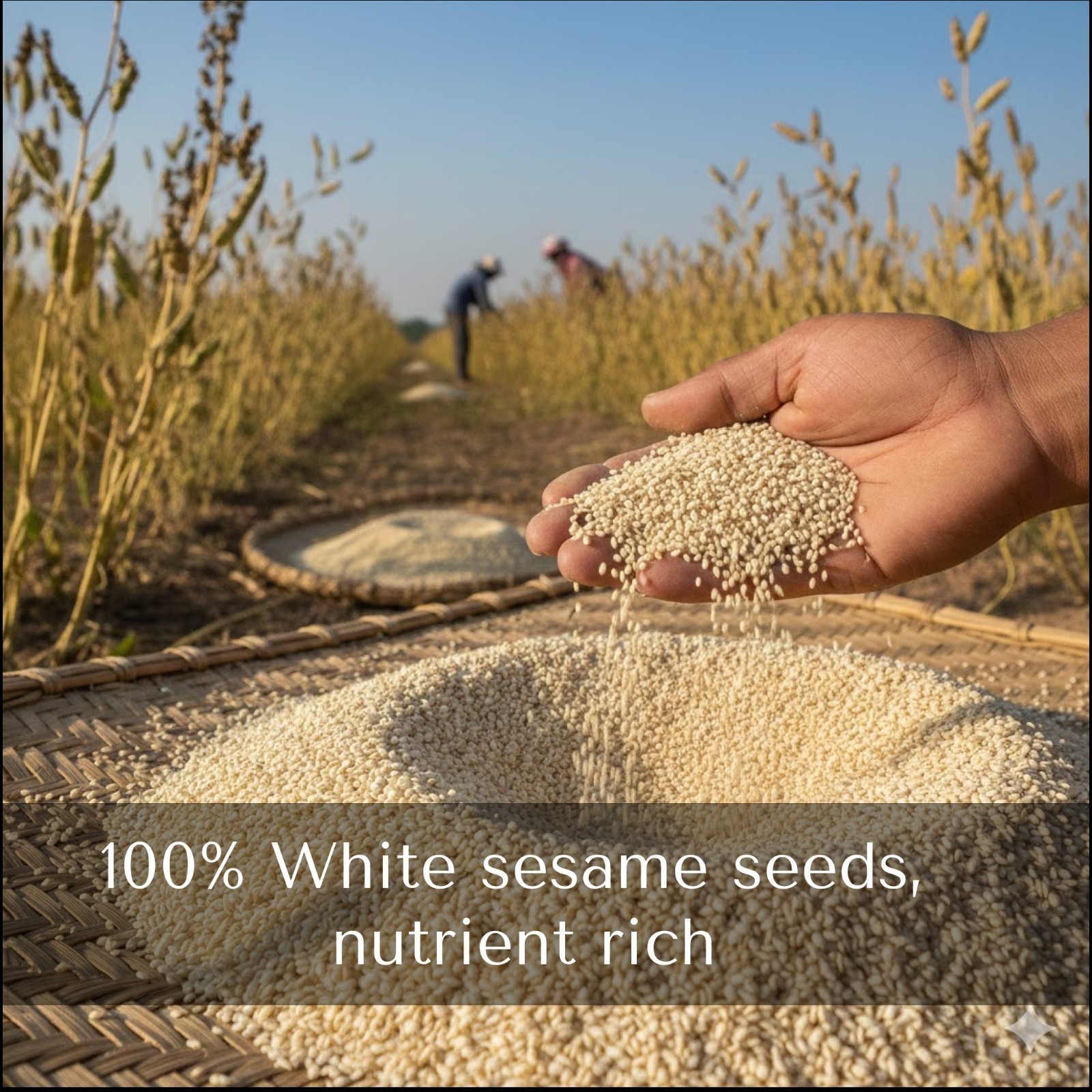 100% Japanese White Sesame Paste100g (3.5oz)