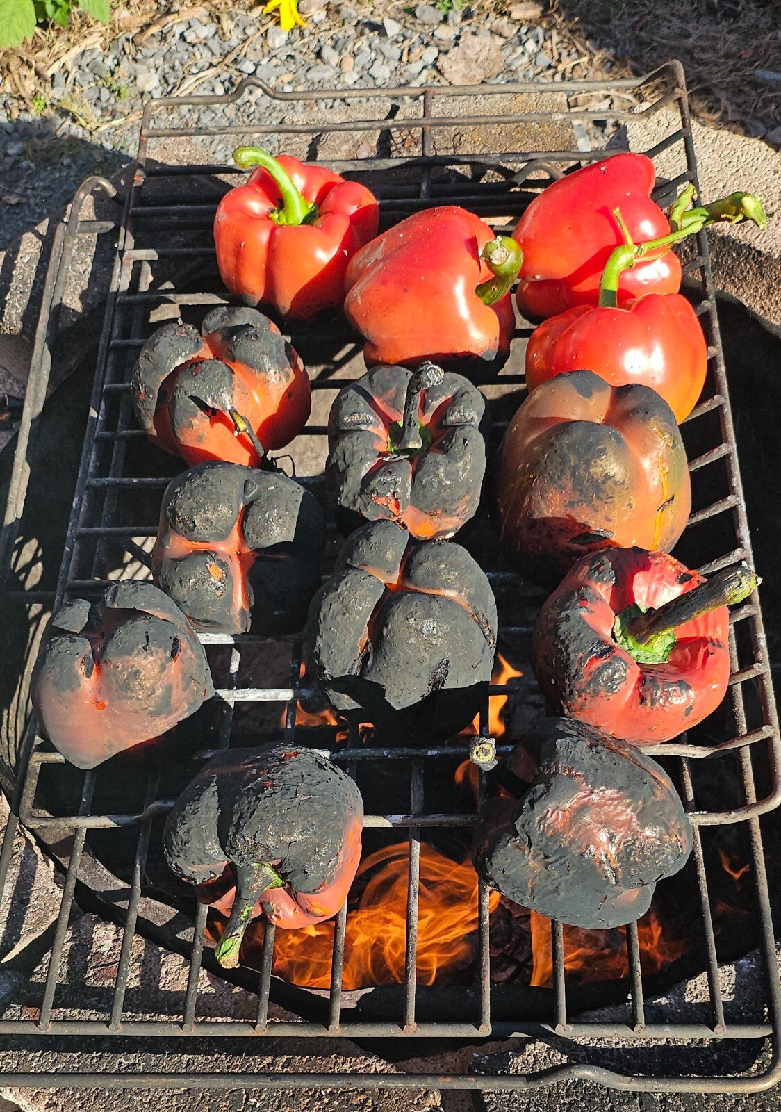 Red Bell Peppers Roasted Dehydrated 80gr bag