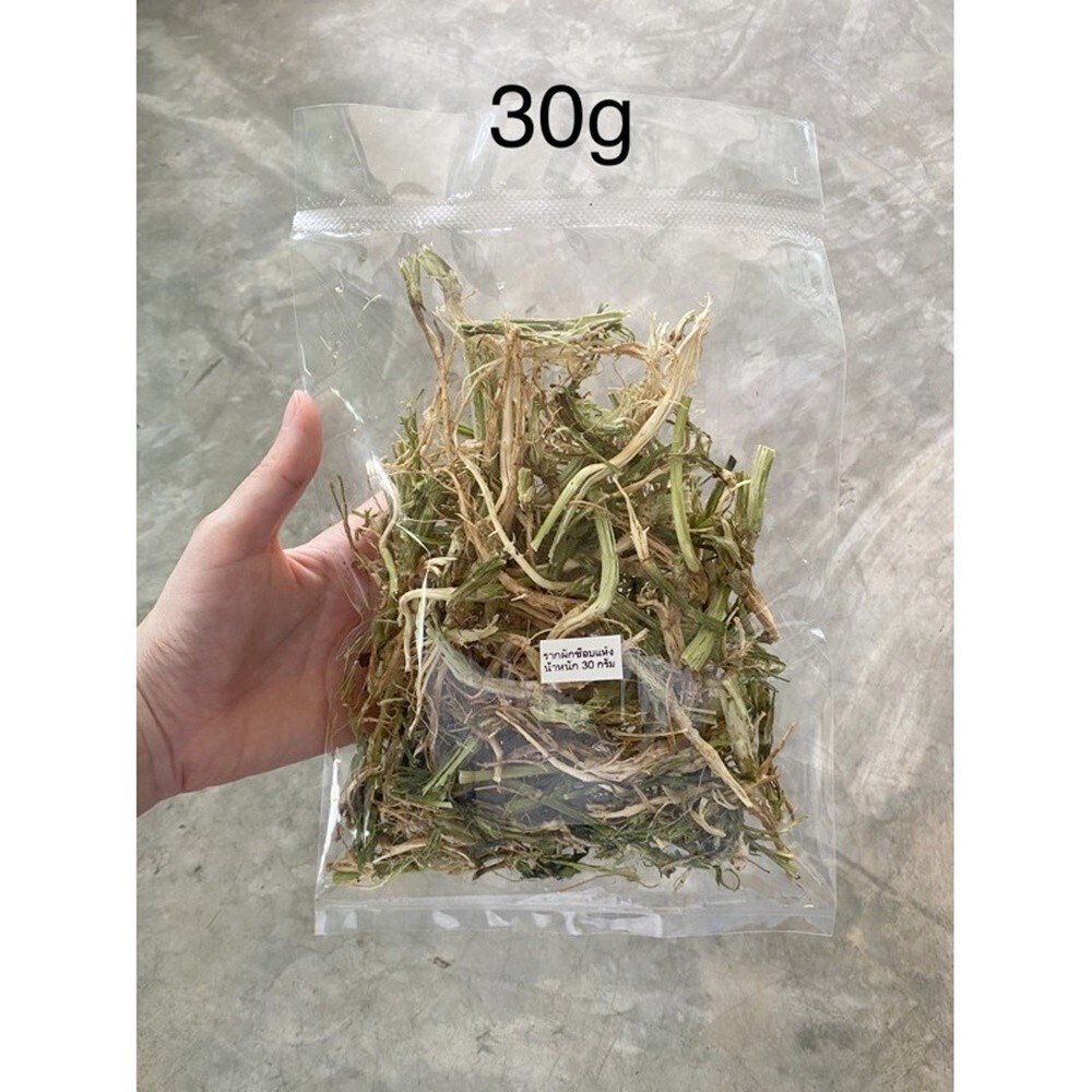 C2 Dried Coriander Root Spices Food Thai Cilantro Drying Fresh Aromatic Herb