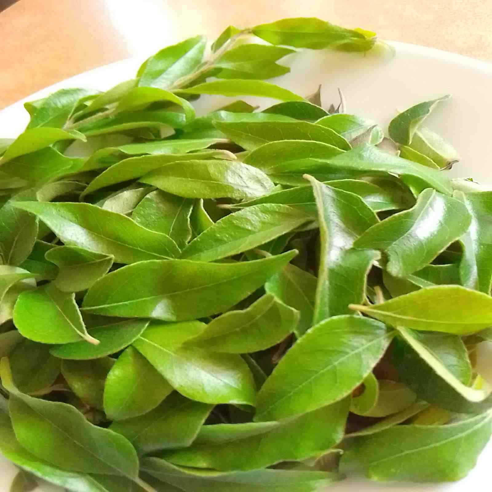 Oraganic Dried Curry Leaves/leaf Fresh & Premium*Grade A* Natural Kaadi patta