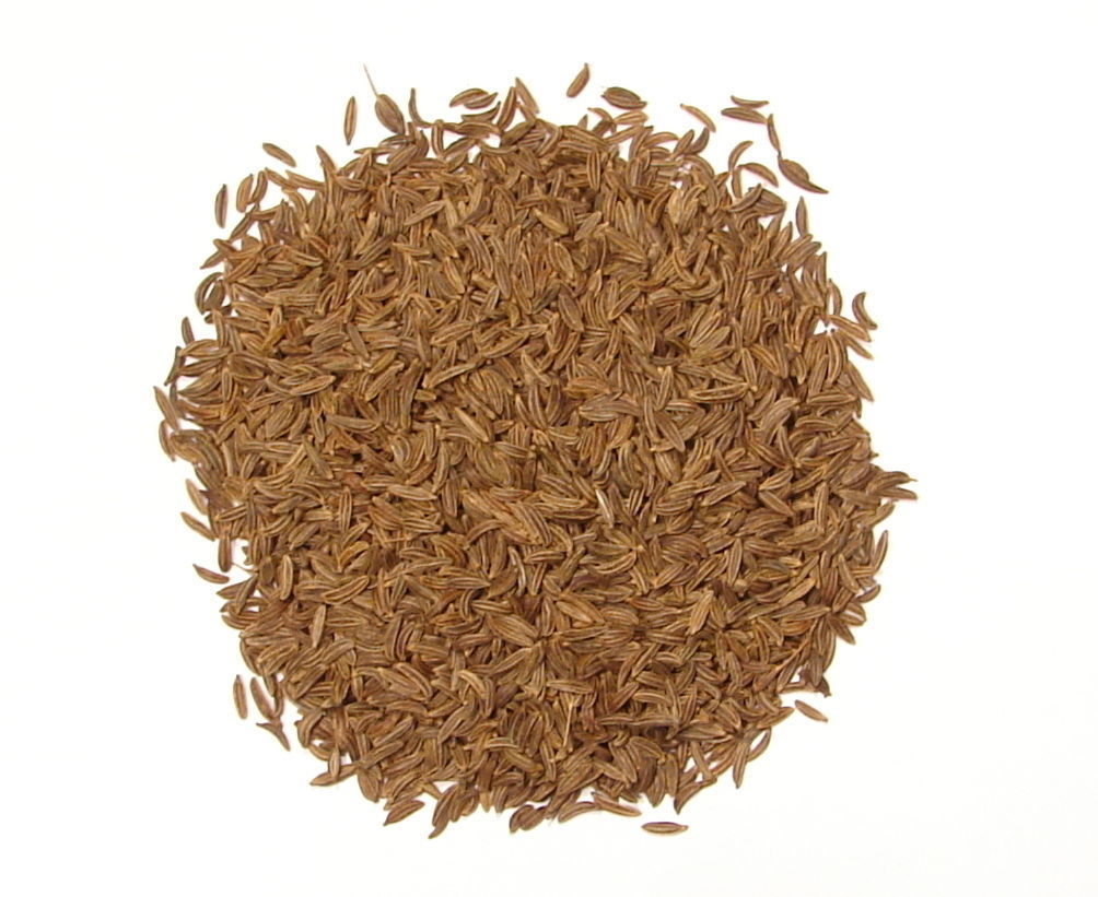 Caraway Seed, Whole-8oz-Whole Caraway Spice of Saurkraut and Rye Bread