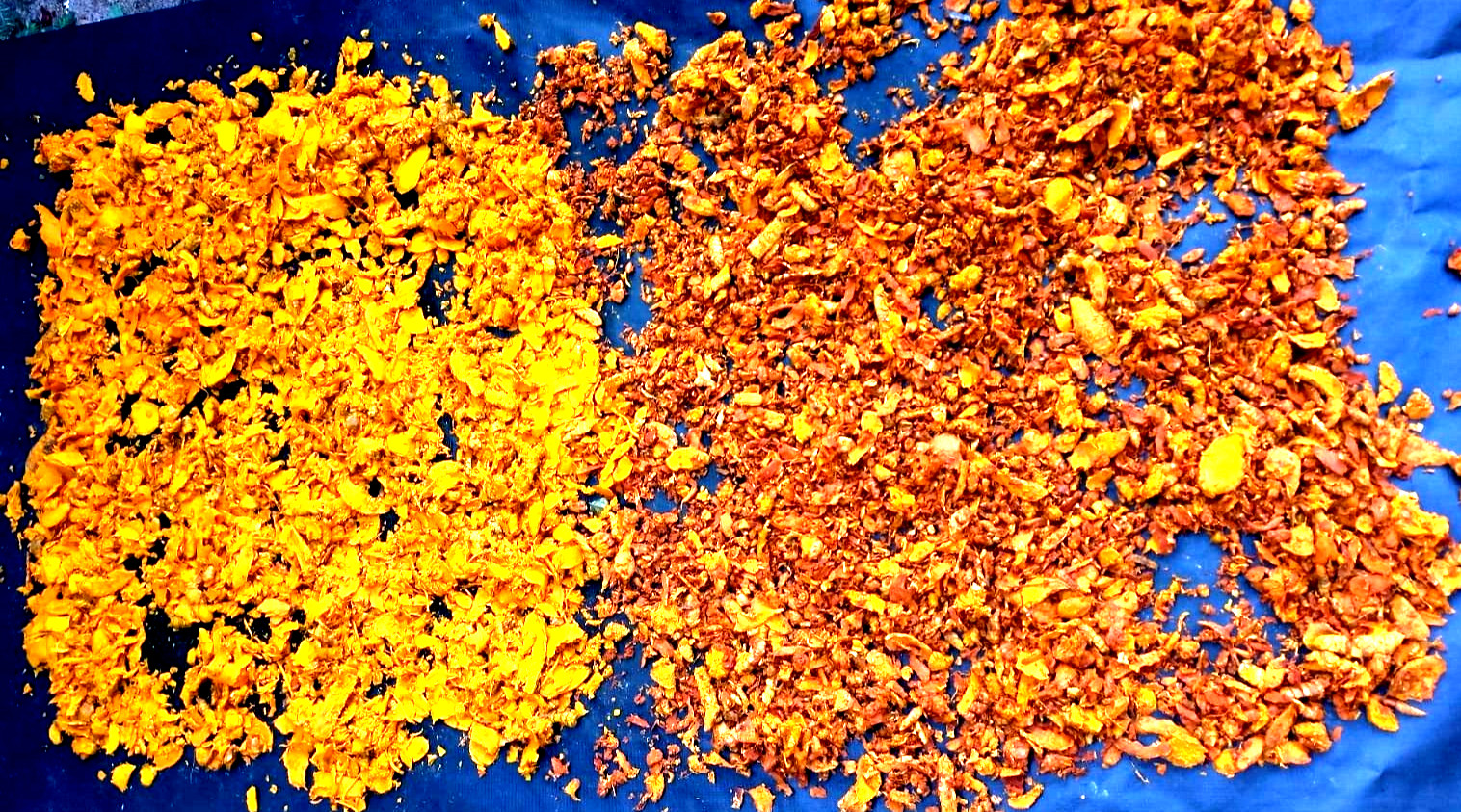 100g TURMERIC POWDER YELLOW CURCUMA POWDER CEYLON NATURAL ORGANIC TURMERIC