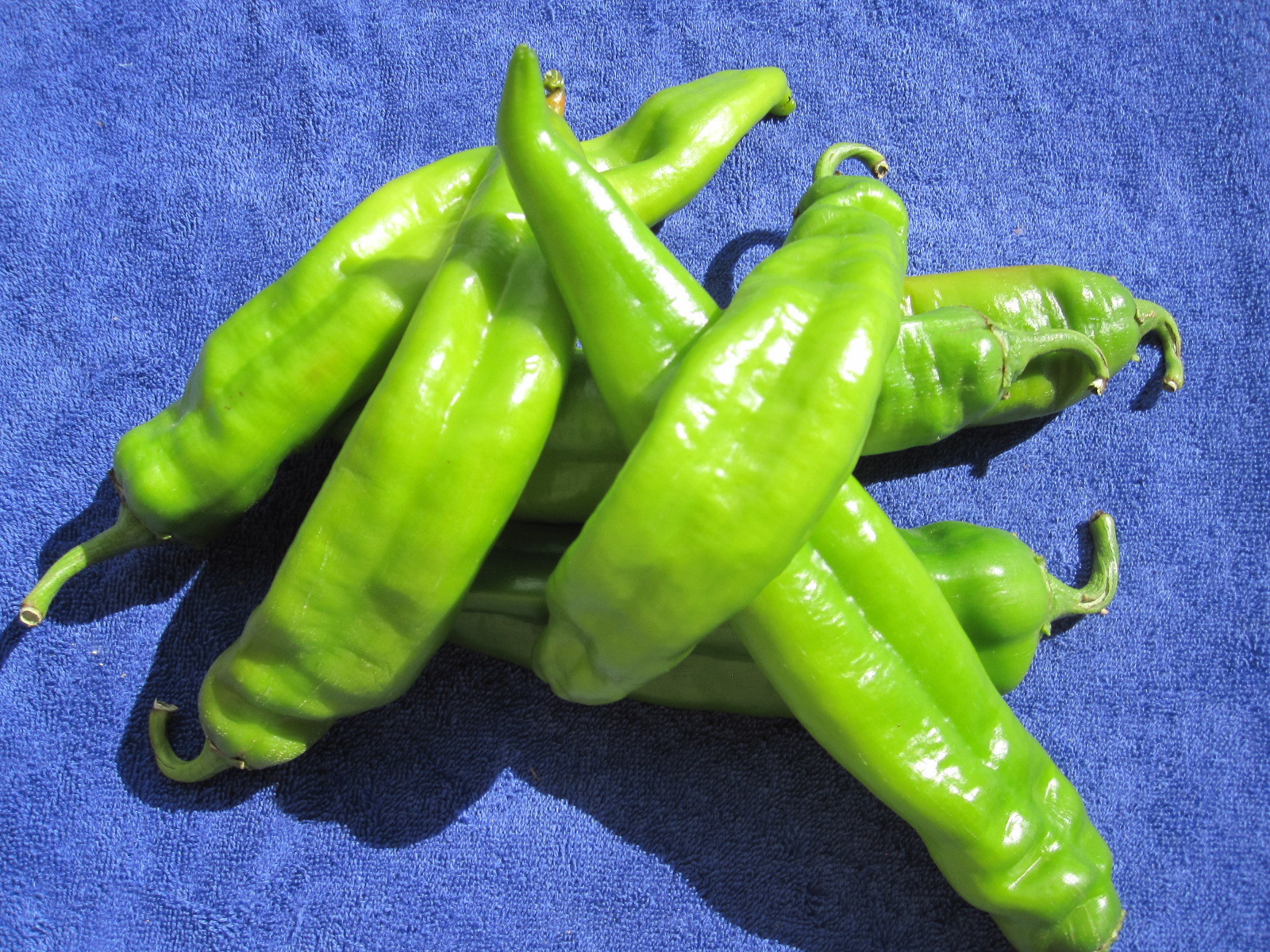 HATCH NEW MEXICO HOT GREEN CHILE POWDER 12 OZ. FRESH! USA SELLER FREE SHIP