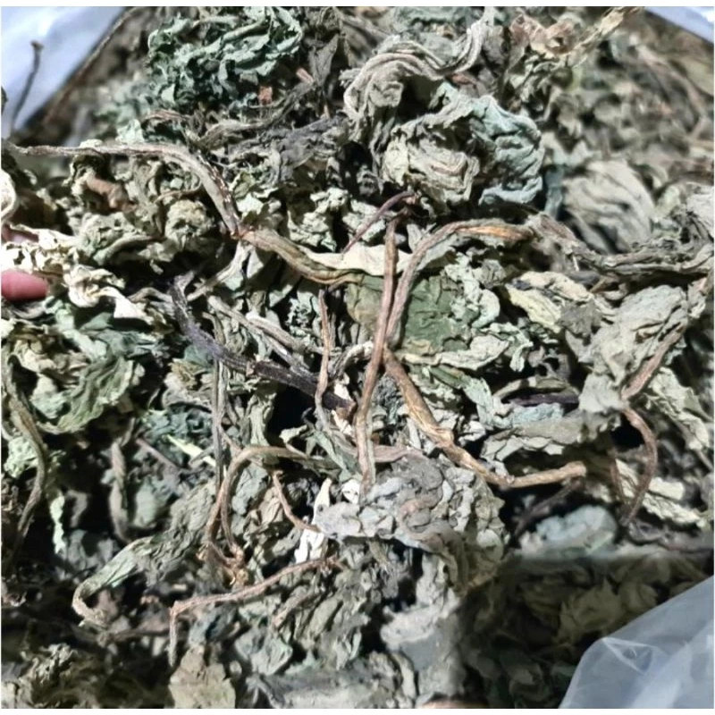 Dried Insulin Leaf 500g Botanical Ingredient For Brewing