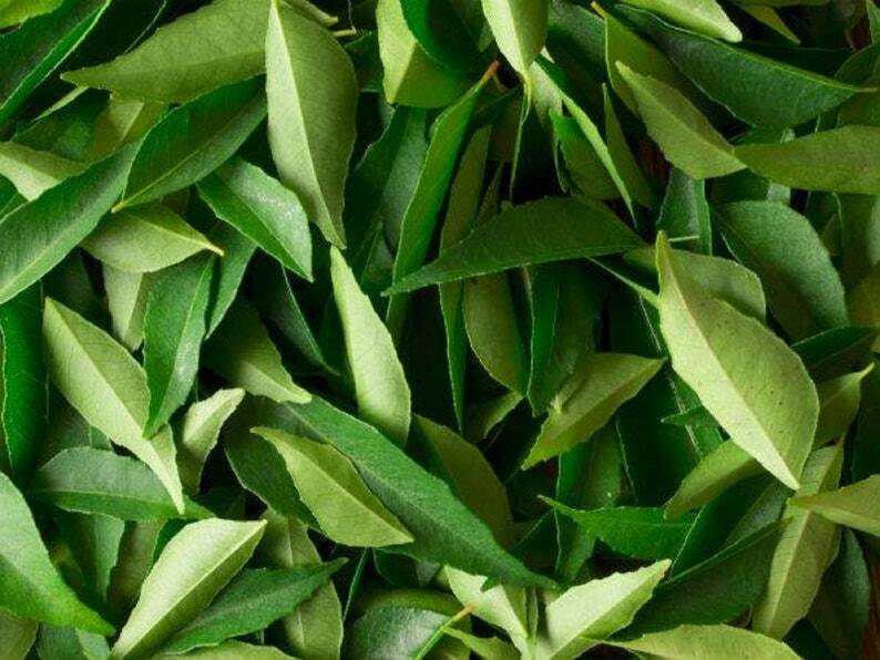 Fresh Dried Curry Leaves 100% Pure Natural Organic A Grade Quality 200g Packets