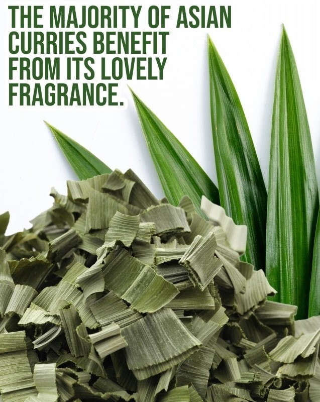Pandan Leaves 100%Natural Sun Dried /Dehydrate Organic Pure Quality Ceylon Spice