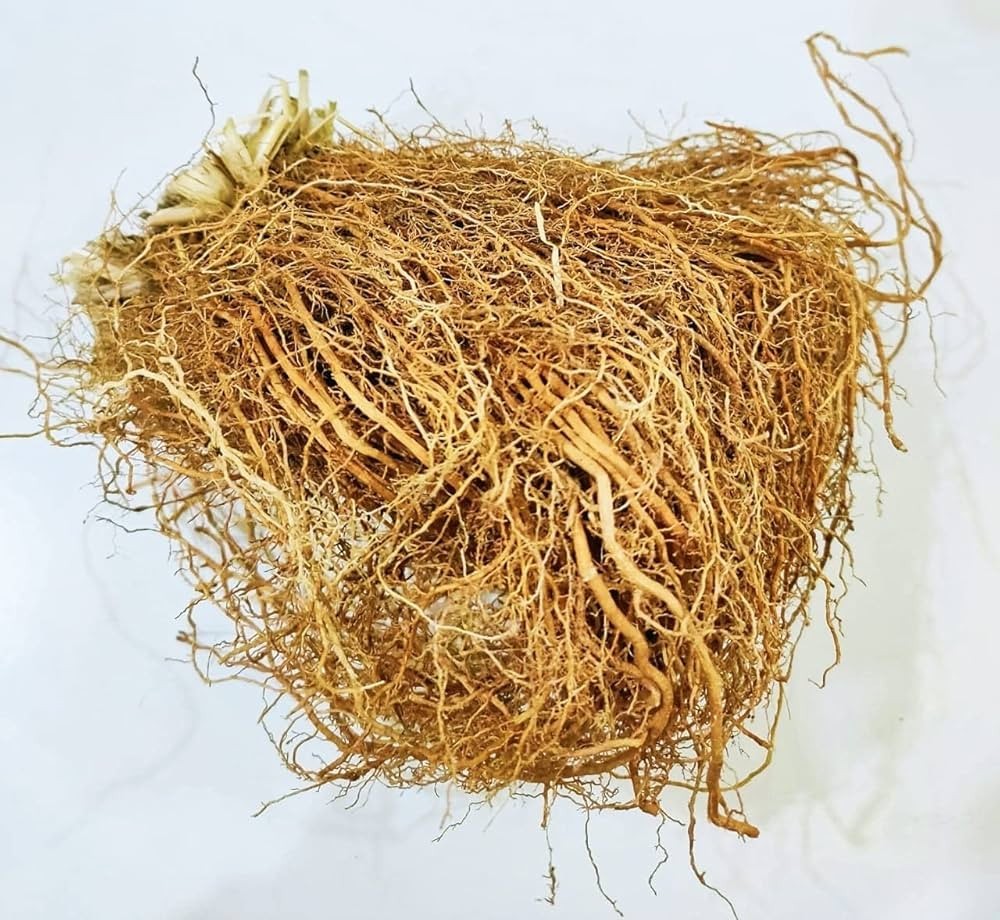 Khus Root Vetiver Root Natural Aromatic Herbal Root Fresh Pure