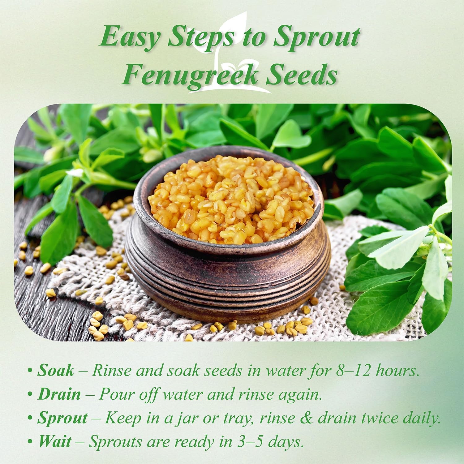 Fenugreek Tea Bags 100 Count Caffeine-free Methi Seeds 100% Natural Herbal