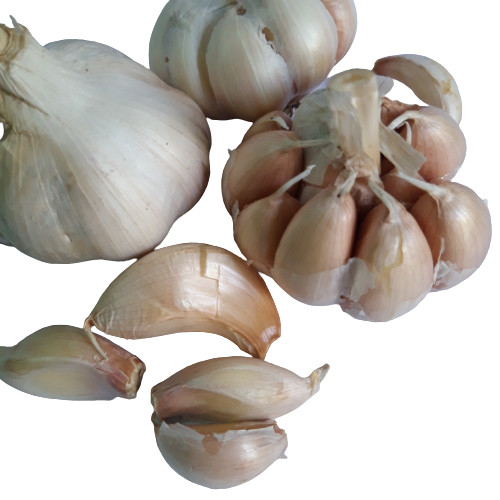 HEIRLOOM GARLIC BULBS WHOLE UNPEELED Sri Lankan Organic Fresh Quality 250g NEW