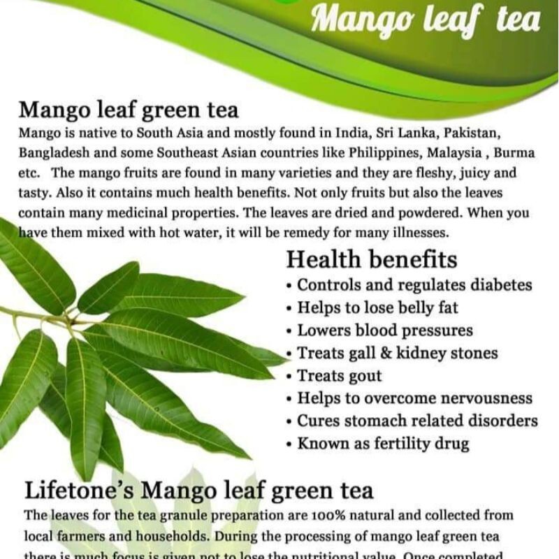 Dried mango leaves sri lanka home made pure 100% natural