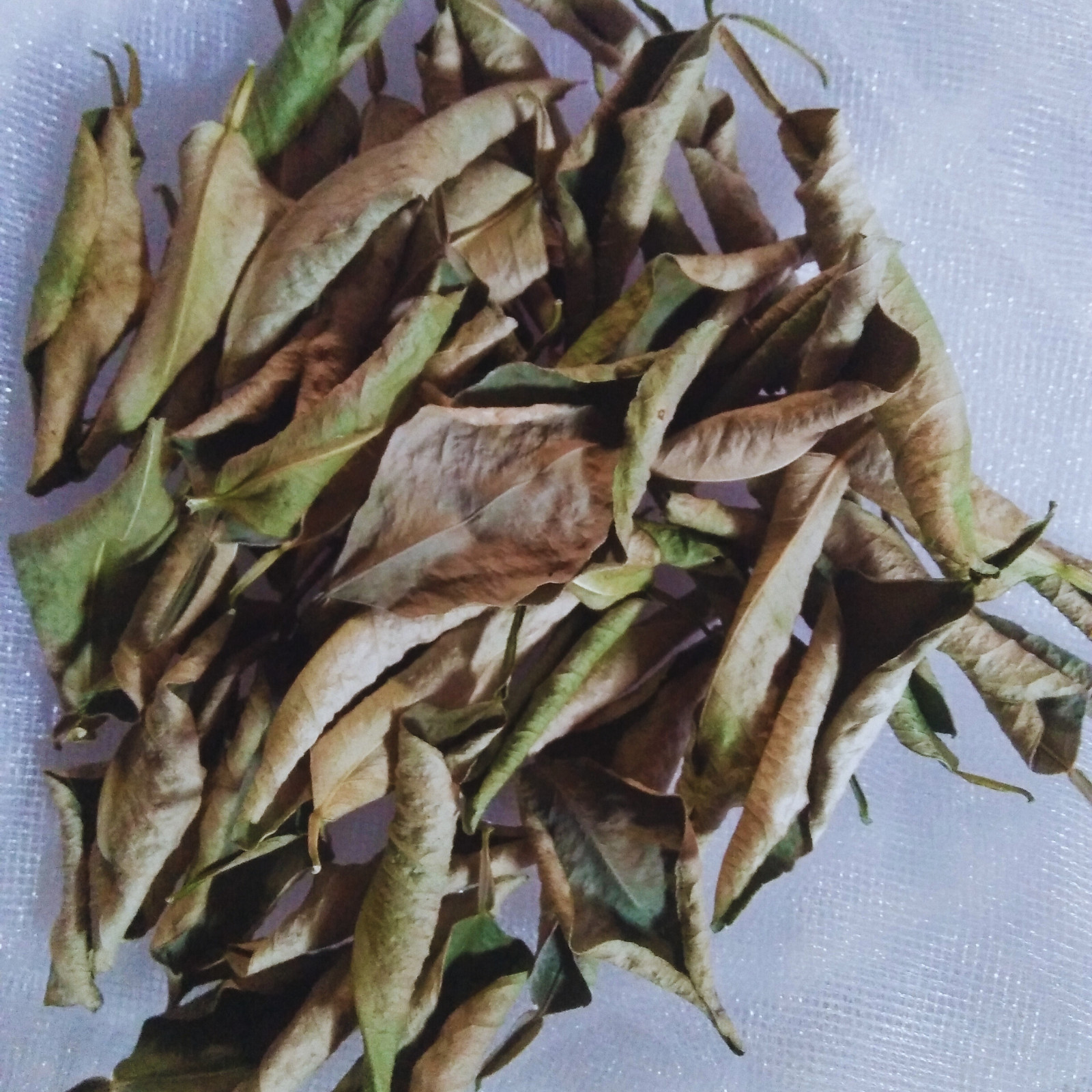 Lime Dried Leaves Organic Fresh Natural Quality Ceylon Pure 100% Herb Premium