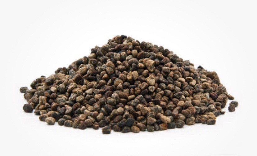 Organic Cardamom Seeds Decorticated 3.5oz- Aromatic Spice for Tea & Cooking🇺🇸
