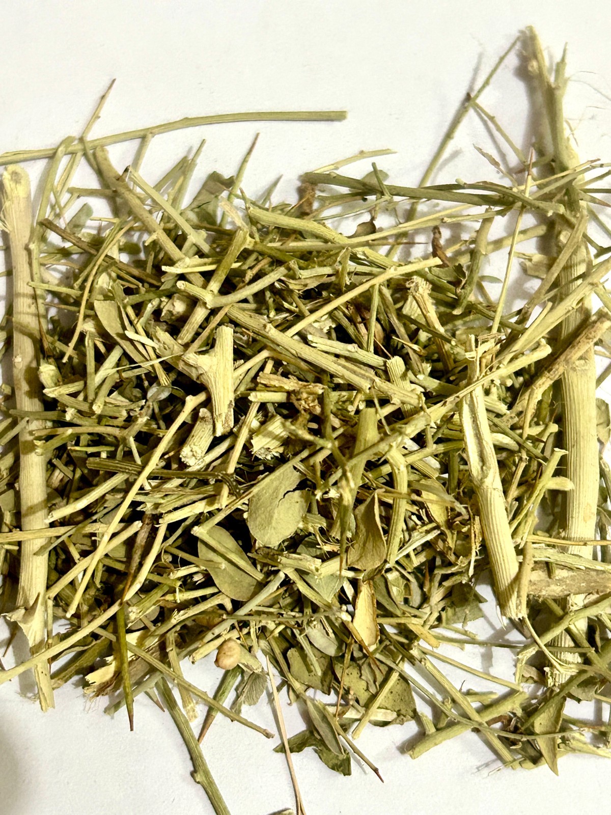 Desert Fagonia-Dhamasa- Damasha- Dhamaasa