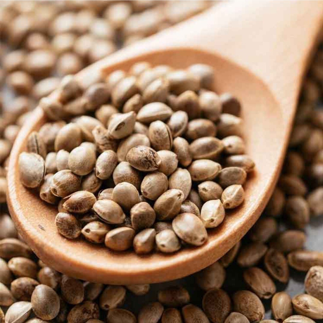 100% PURE ROASTED HEMP SEEDS GLUTEN-FREE nonGMO ORGANIC GROWN