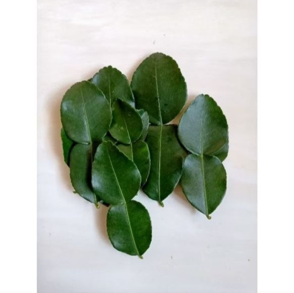 Fresh Kaffir Lime Leaves Organic | Picked When Order | 50g , 100g , 150g , 200g