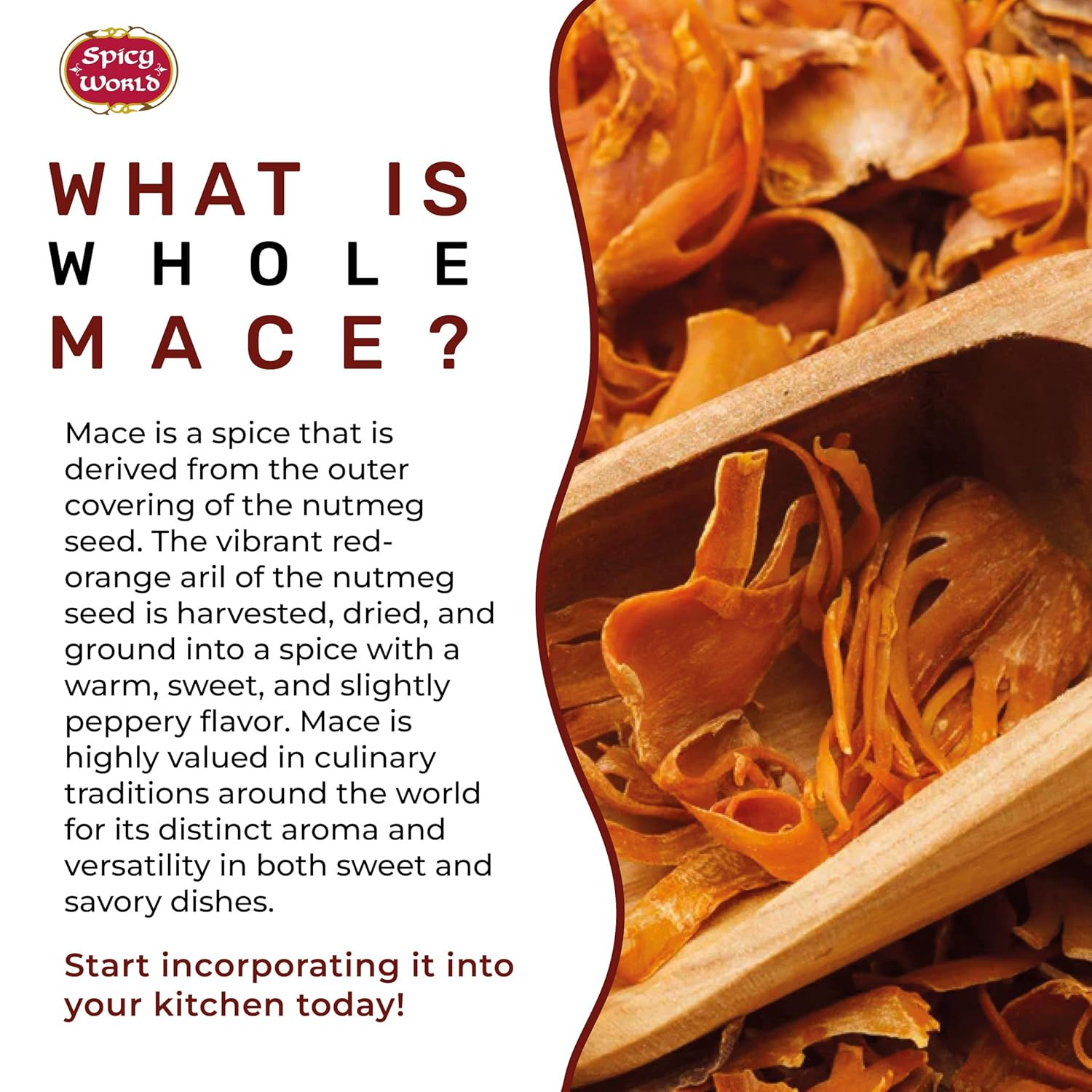 Mace Whole 3.5Oz (100G) – Javathri, Pure, Natural, Nutmeg’S Rind