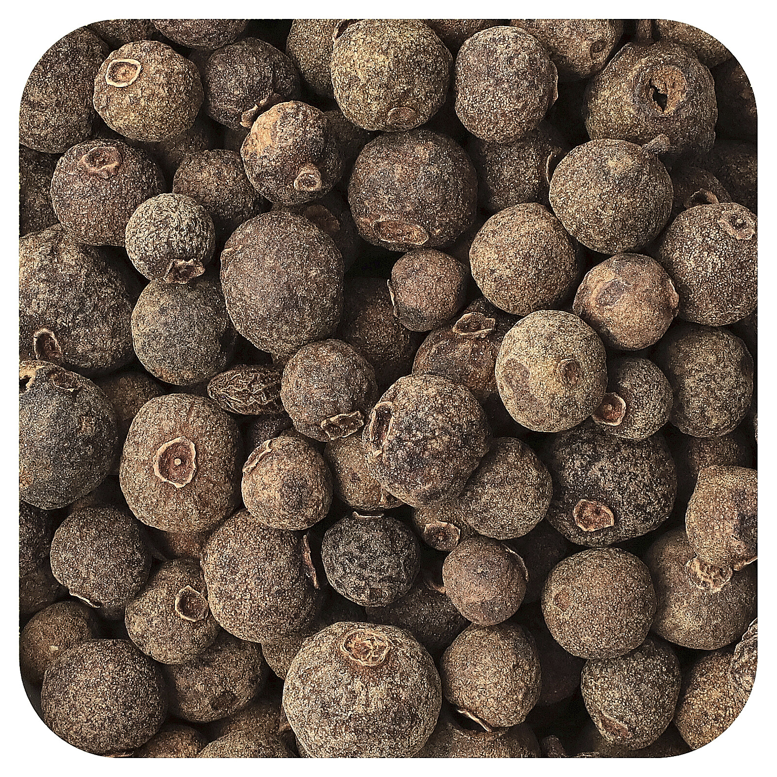 Organic Whole Allspice, 16 oz (453 g)
