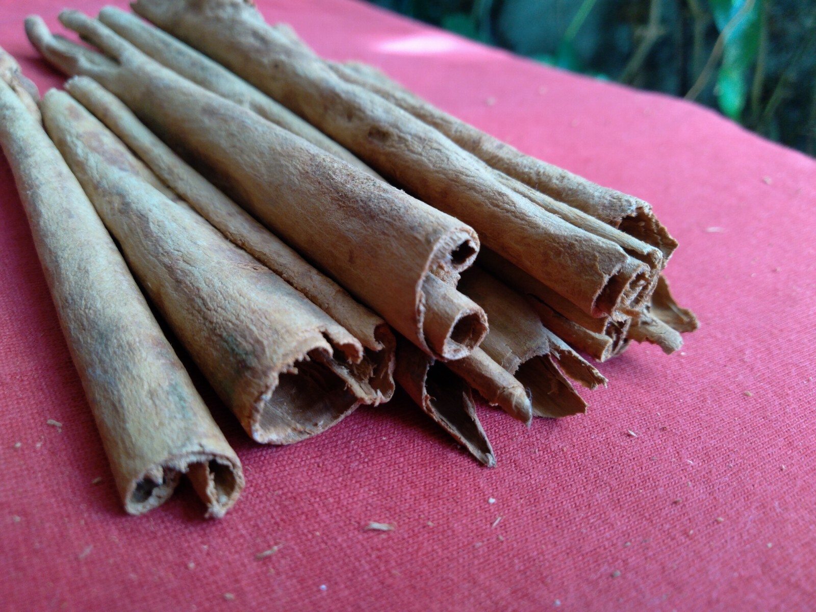 NATURAL PURE CEYLON HIGH QUALITY 100% CINNAMON STICKS & ORGANIC 100 g