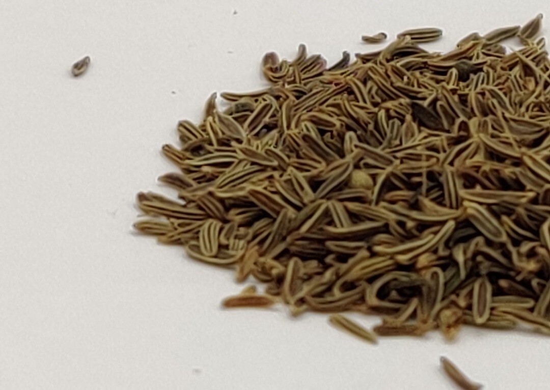 Shahi Jeera – Jeera Kala Asli – Green Cumin