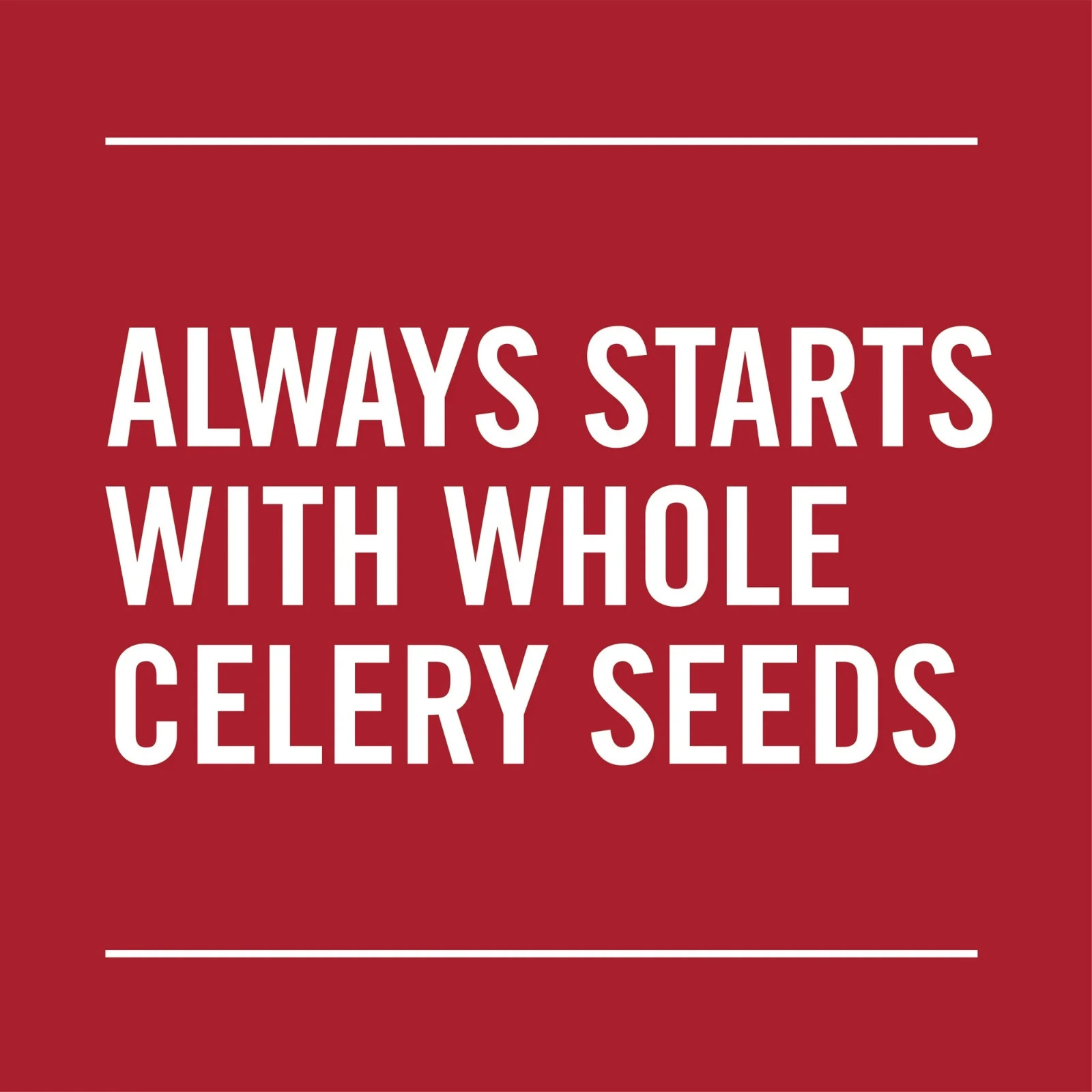(Pack of 2) MCCORMICK Celery Salt New sealed Container 4 Oz each