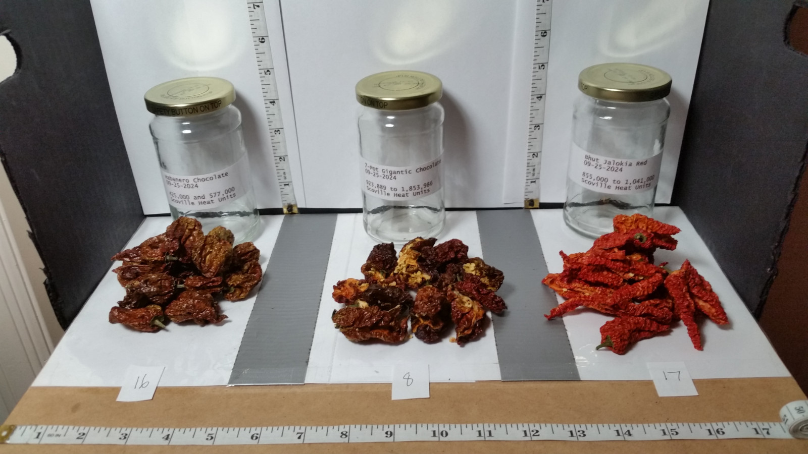 Super Hot Chili Pepper Pods ; Dried ; Organic ; Stored Cool and Dark, Sept. 2024