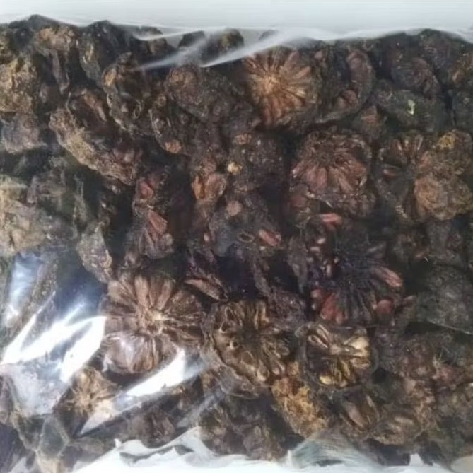 Dried Noni 1000g Botanical Ingredient For Brewing Craft Blending
