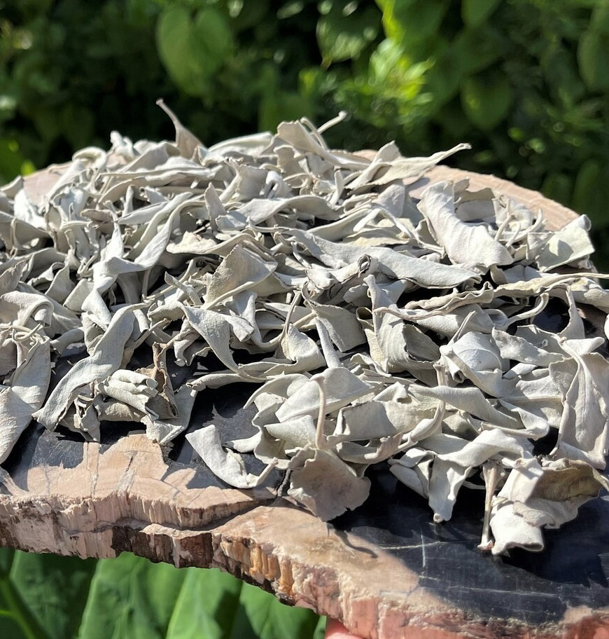 White Sage Clusters Bulk Loose Leaf White Sage for Cleansing & Smudging