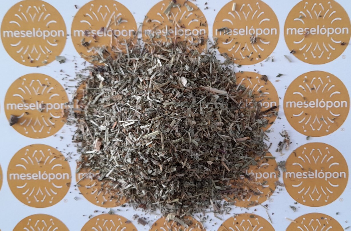 Veronica Persica Herb, Speedwell Herb Anxiety Swiss Tea Depression Herbal Memory
