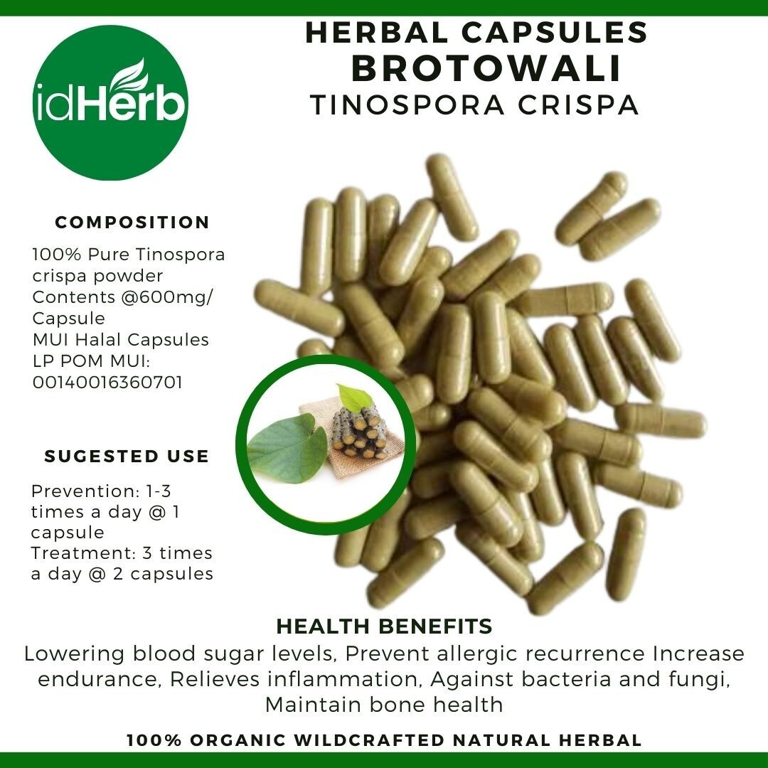 Capsules Tinospora Crispa Brotowali Natural herbal Organic 100% Herbs