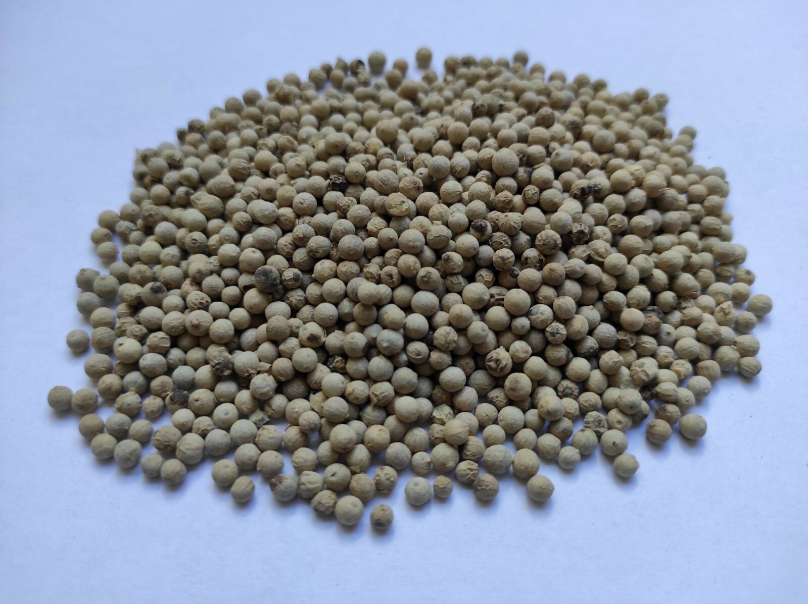 Whole White Peppercorns White Pepper 460g | Exceptional Quality