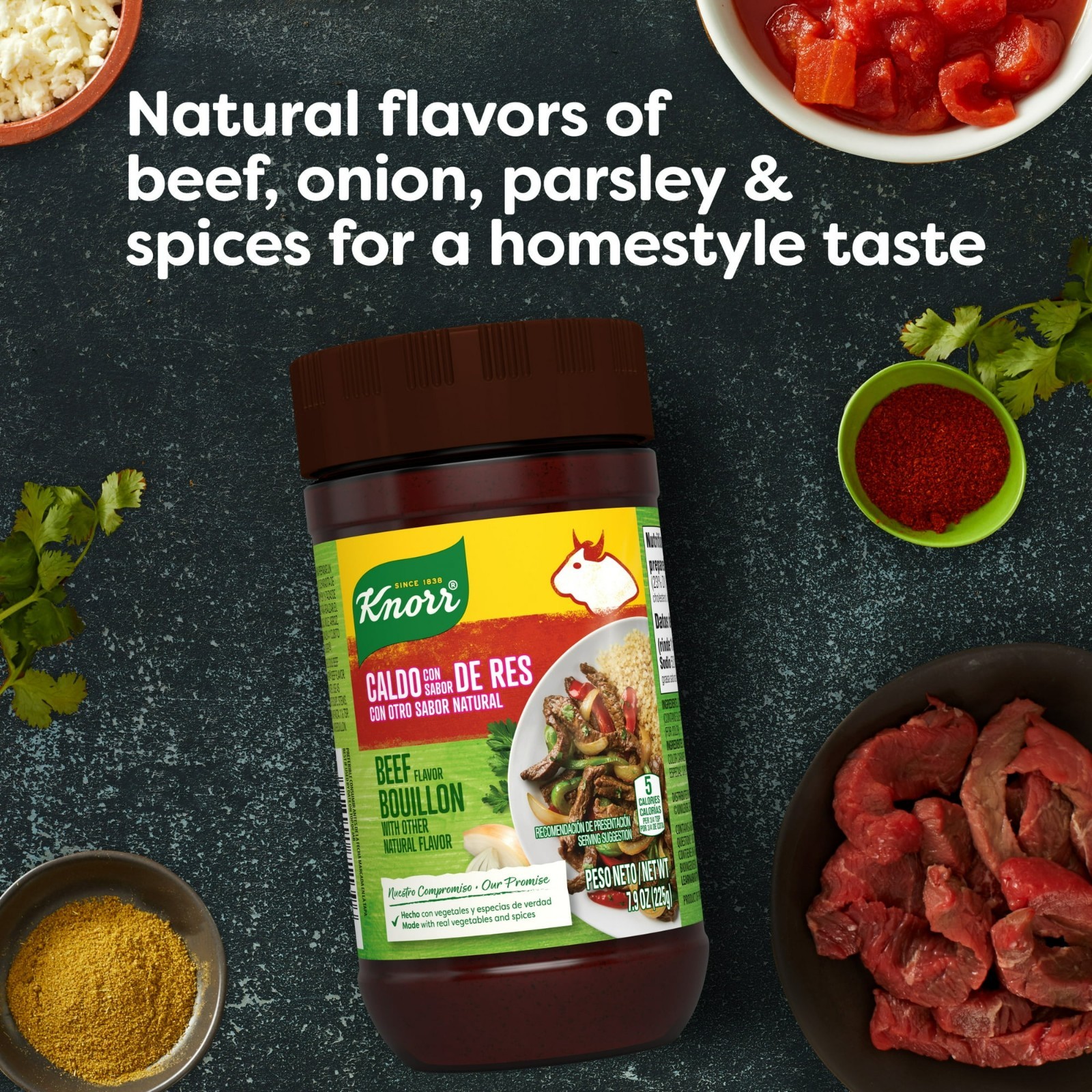 Knorr Granulated Beef Flavor Bouillon Ground, 7.9 oz x 2 Jars