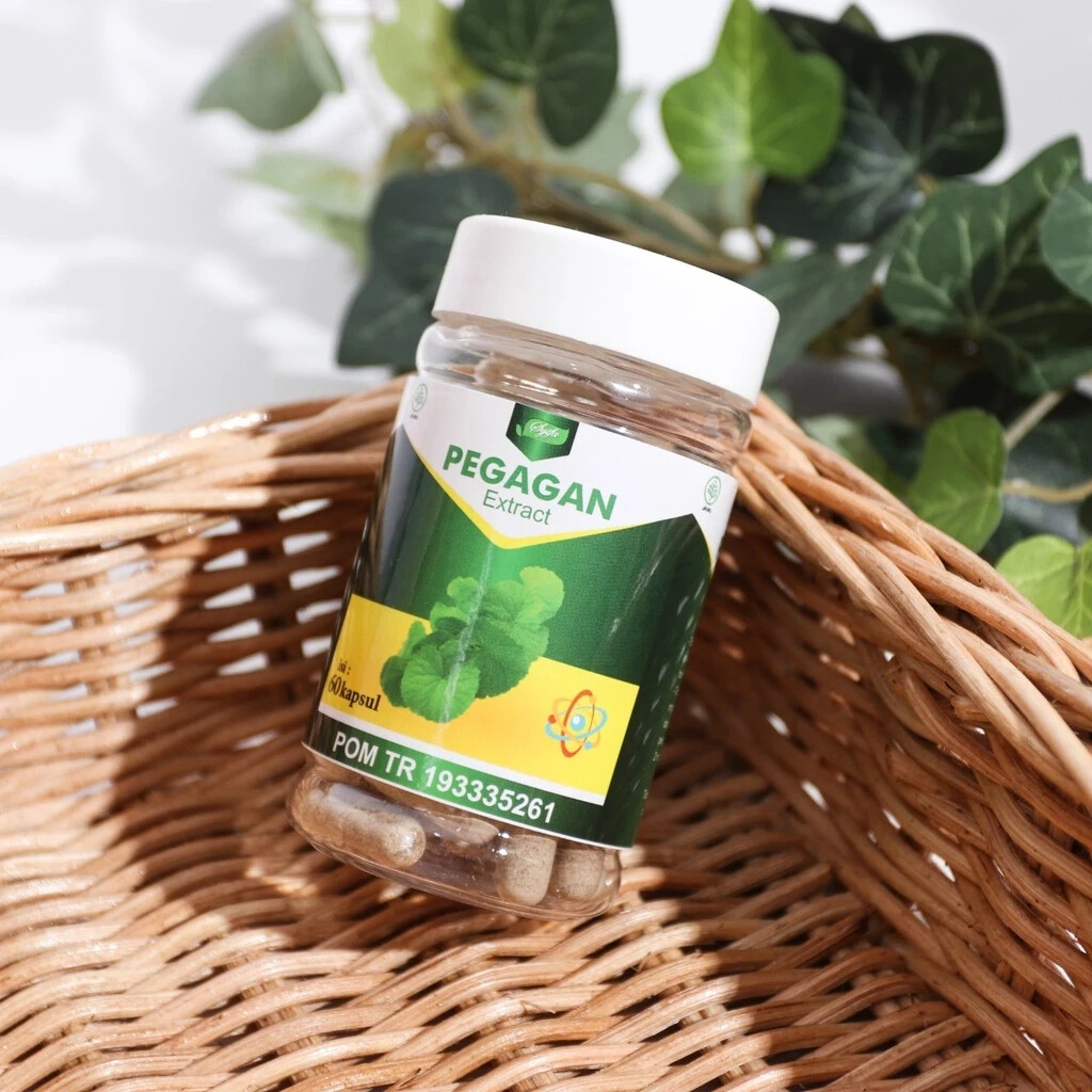 Pegagan Leaf Extract Powder Cap Natural Organic Herbs Spices Fresh Pure Hygienic