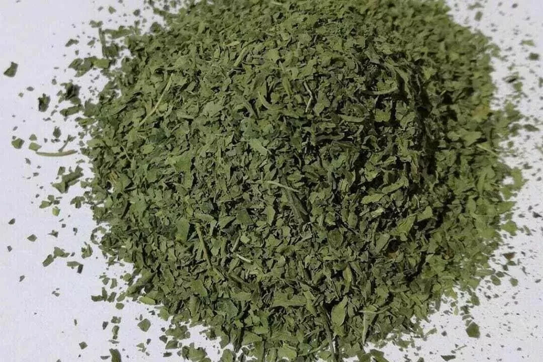 Dried Molokhiya, Palestinian Cuisine, Dried Molokhiya 100G ملوخية ناشفة مجففة