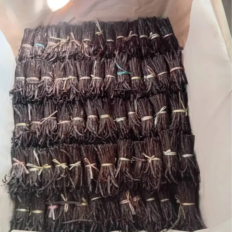 Slofoodgroup Loose Cut and Dried Split Vanilla Beans from Comoros Islands Carmel