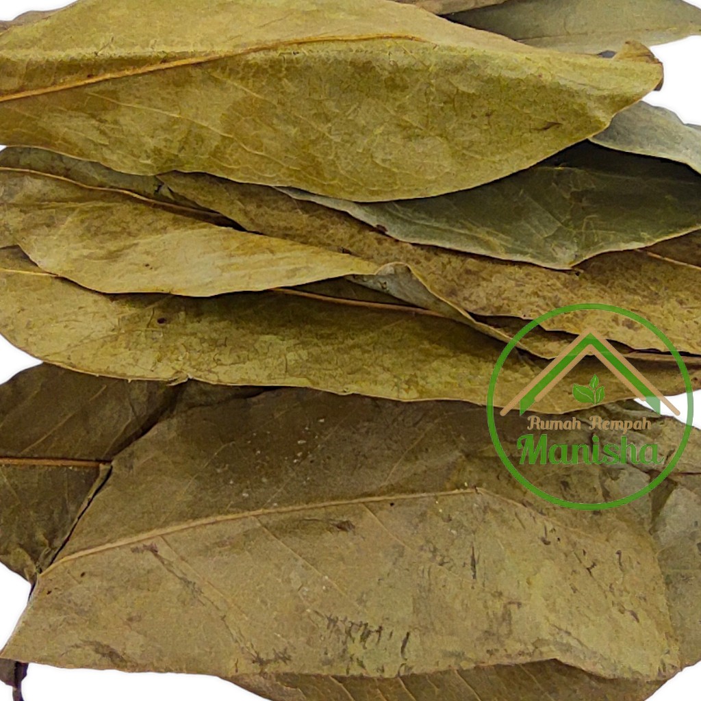 Dried Soursop Leaves 100g Indonesian Botanical Leaf Pack