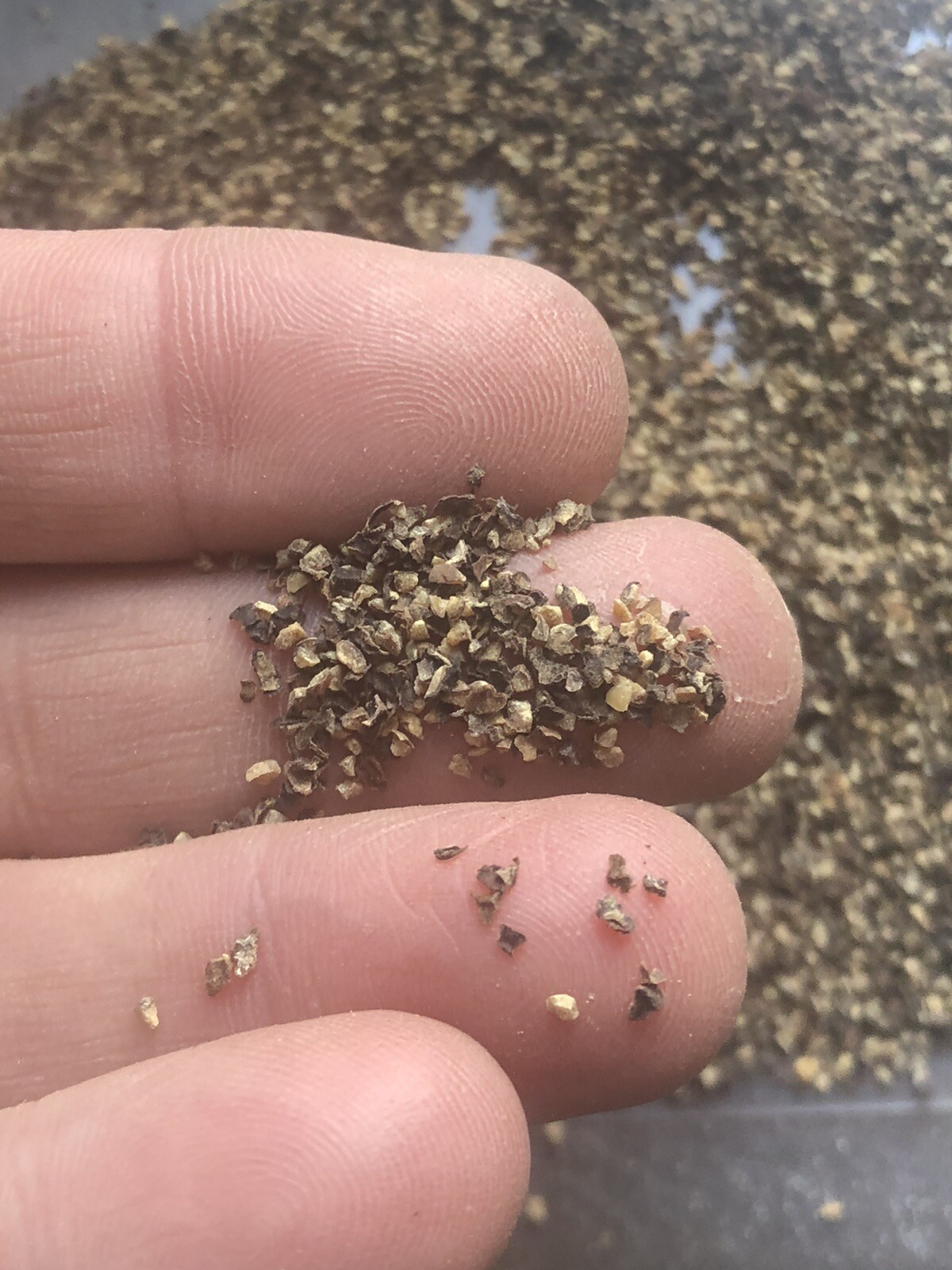 Black Pepper Coarse Ground 5 LBS great quality. Pure. Read description.