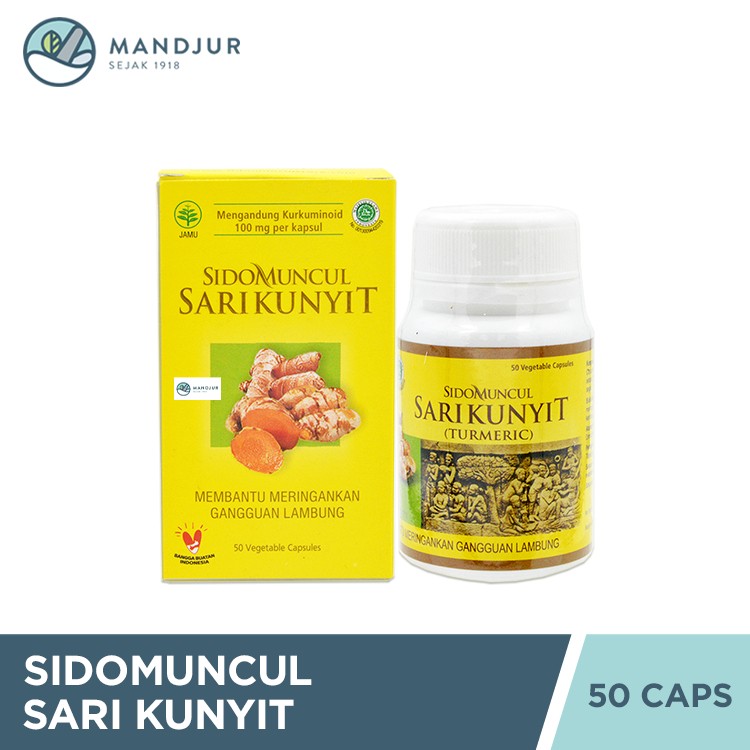 Turmeric Curcuma Vegetable Capsules 50 Count Digestive Wellness Herbal Support