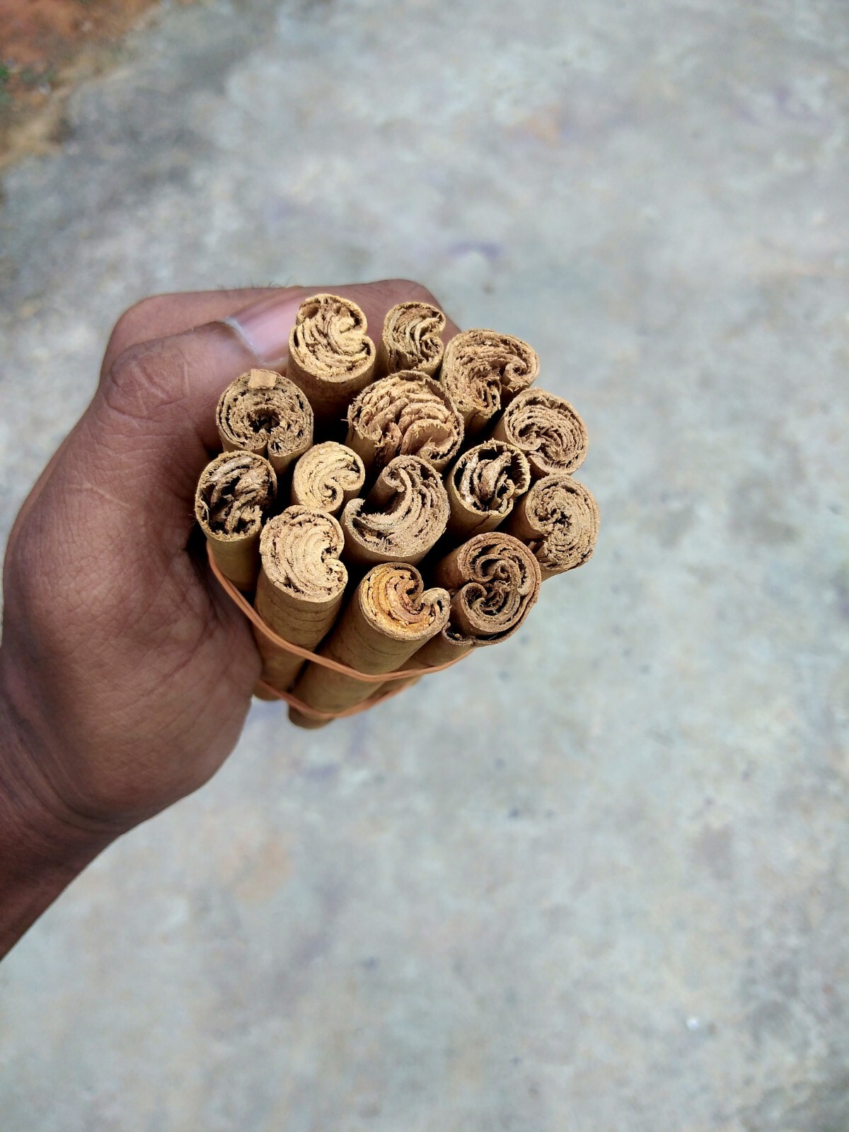Cinnamon Sticks Ceylon Organic Pure 100% Cassia Sri Lanka Quality Alba True Prem