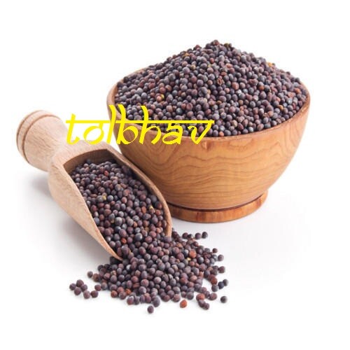 100% Certified Organic Natural Pure Mustard Seed Spice Masala Best from India