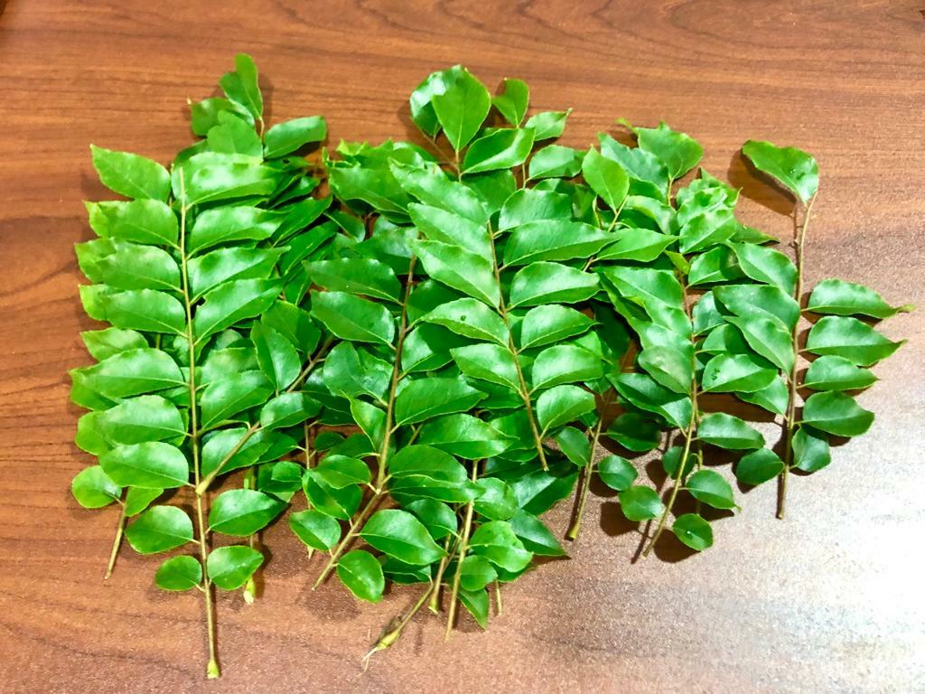 20g Natural Sun Light Dry Fresh Curry Leaves ,Fresh Organic Grade A -Vacuum Pack